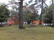 興福寺境内の紅葉