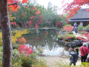 依水園　前園と三秀亭