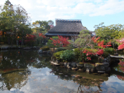 依水園　前園と三秀亭