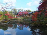 依水園　前園の池に写る紅葉と清秀庵