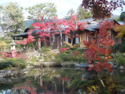 依水園　前園の紅葉と清秀庵