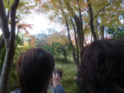 依水園　後園の紅葉を撮る友