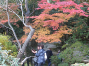 依水園　後園　紅葉