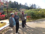 依水園　後園　紅葉を楽しむ友