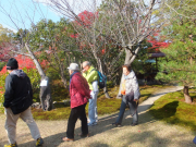 依水園　後園　散策の友